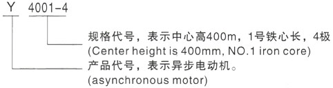 西安泰富西玛Y系列(H355-1000)高压YRKK5003-10/355KW三相异步电机型号说明